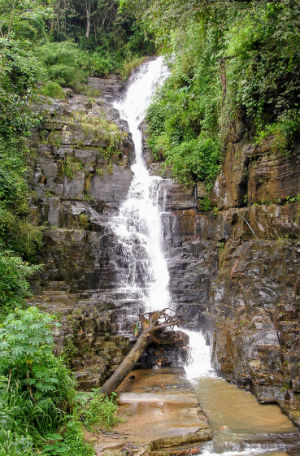 Flot vandfald Sri Lanka