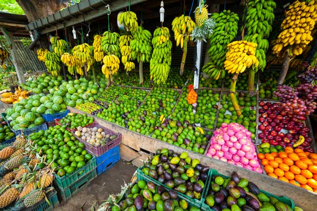 Salg af bananer sri lanka